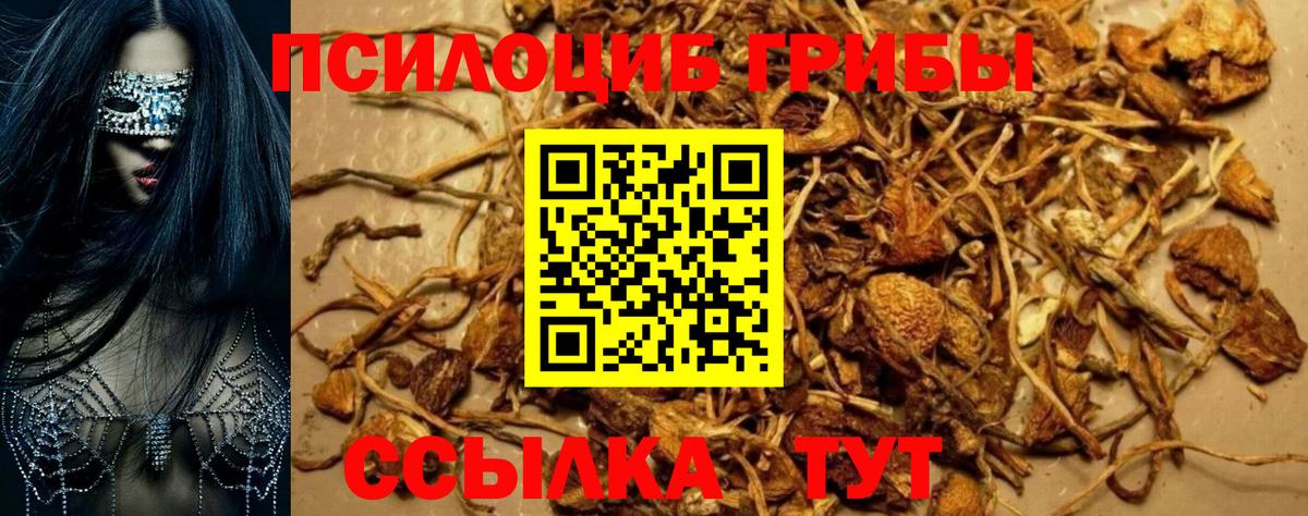 Галлюциногенные грибы ЛСД  Вход с VPN  Лабытнанги  Галлюциногенные грибы Cubensis 