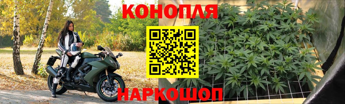 Конопля OG Kush Лабытнанги